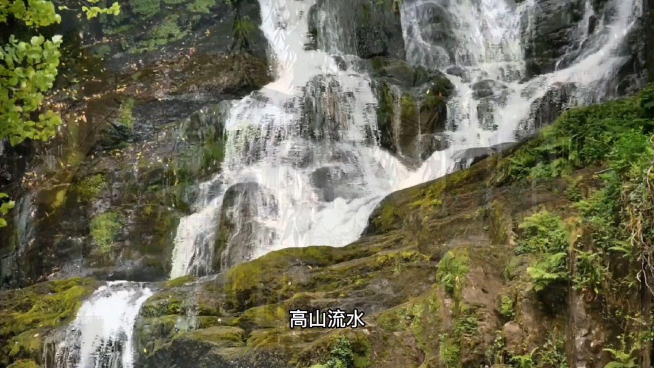 如何避免夏季中暑?-权威问答平台,解答您的疑惑